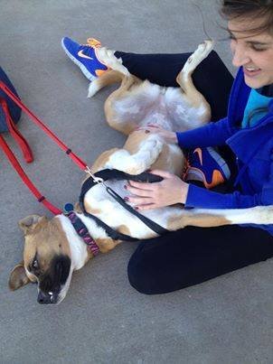 TX No-Kill Shelter Care for Abandoned Dogs & Cats