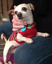 Katie's Shelter Photo