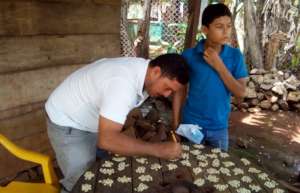 Alcides Torres Gamez filling out a corn format