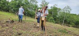 Emilios team sowing with the new planting method