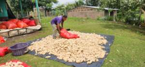Adan in the process of drying his corn