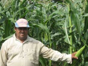 Nicaragua corn farmer.