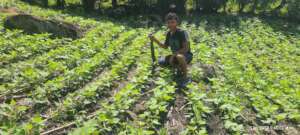 Deybin a beneficiary showing his beans plantation