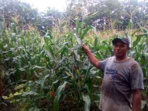 Jose showing his QPM crop.