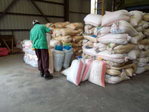 Farmers and QPM seed.