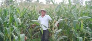 A proud farmer showing his corn plantation