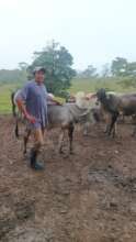A farmer showing his investment in calves
