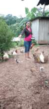 A farmers wife feeding their chickens