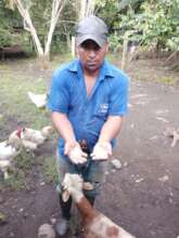 Luis feeding his animals