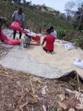 Luis providing shelling service to other farmers