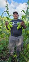 Ericks proud of his corn