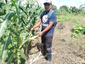 Darwing showing his corn plantation