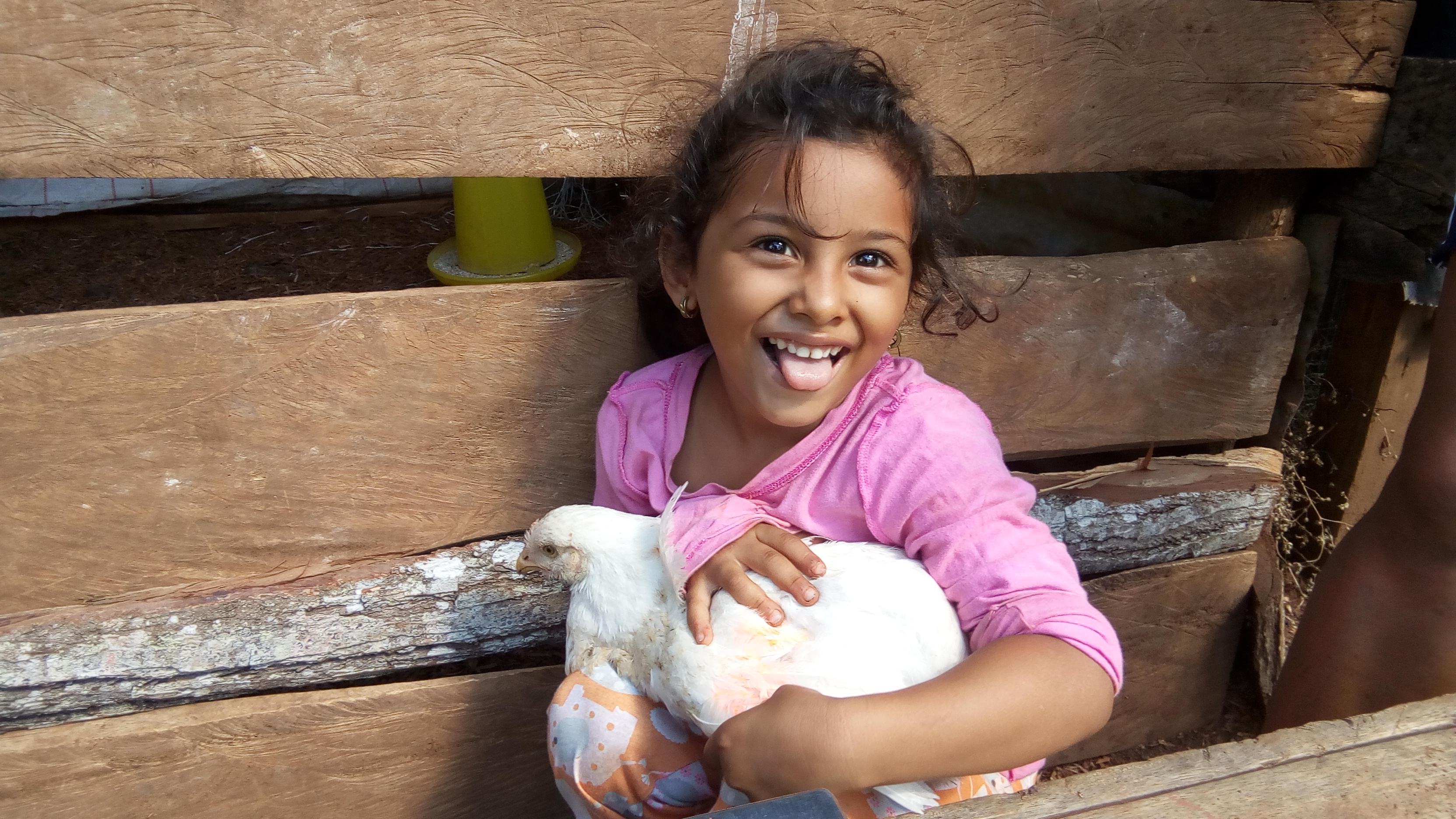 Young girl holds hen