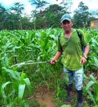 Marcos spraying his field