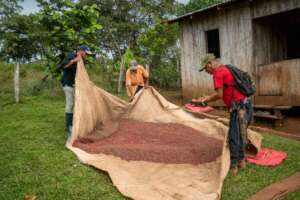 Pedro showing his beans to his group leader