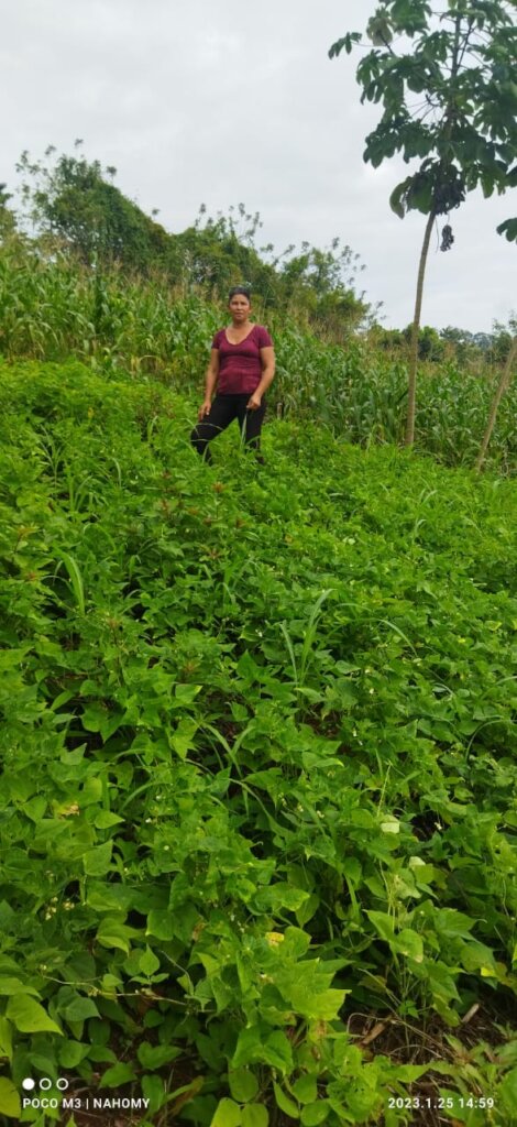 Photo of Petronila with her corn and beans plots
