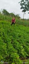 Photo of Petronila with her corn and beans plots