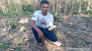Rosas son in law in the corn and bean field