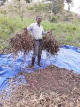Coop leader, Isidro, holding bushels.