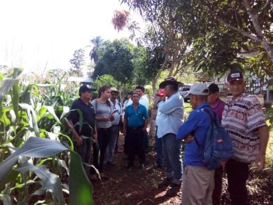 Introducing Double Row Corn Technology to Nicaragua’s Farmers