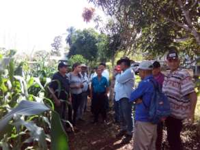 Farmers evaluate the double groove application