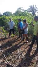 Establishing the demonstration plots.