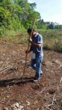 Establishing the demonstration plots.