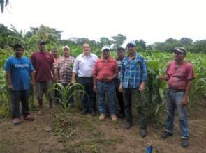 farmers on a plot of corn in Ochomogo,Rivas