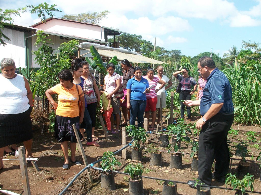 Improve Nicaraguan Farmers Nutrition & Incomes
