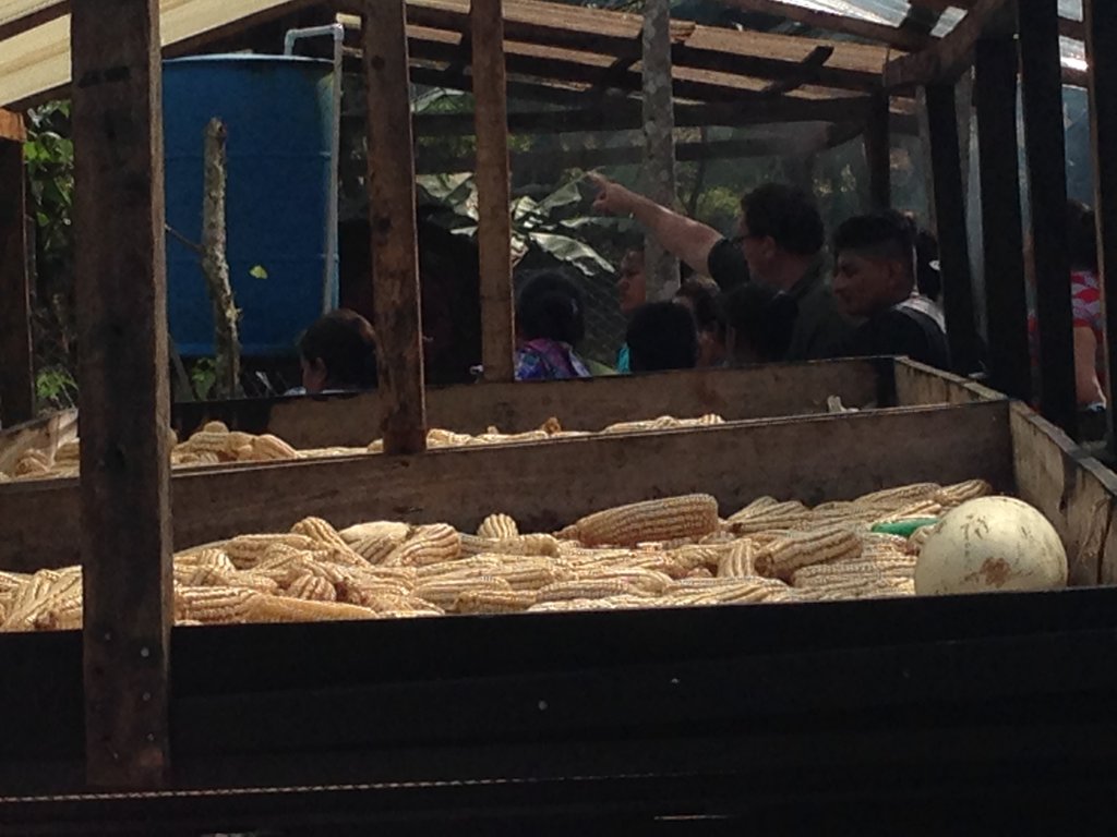 Improve Nicaraguan Farmers Nutrition & Incomes