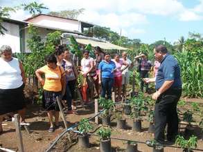 Demonstration Plot: Gardening with Drip Irrigation