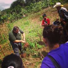 Demonstration Plots: Improving Corn Yields