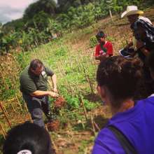 Demonstration Plots: Improving Corn Yields