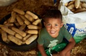 Improve Nicaraguan Farmers Nutrition & Incomes