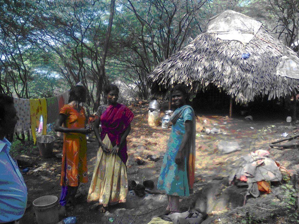 literacy devpt among 40 tribal children in india