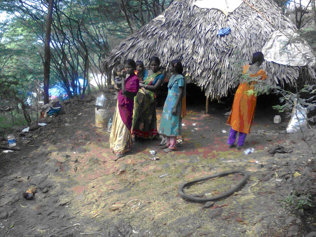 literacy devpt among 40 tribal children in india