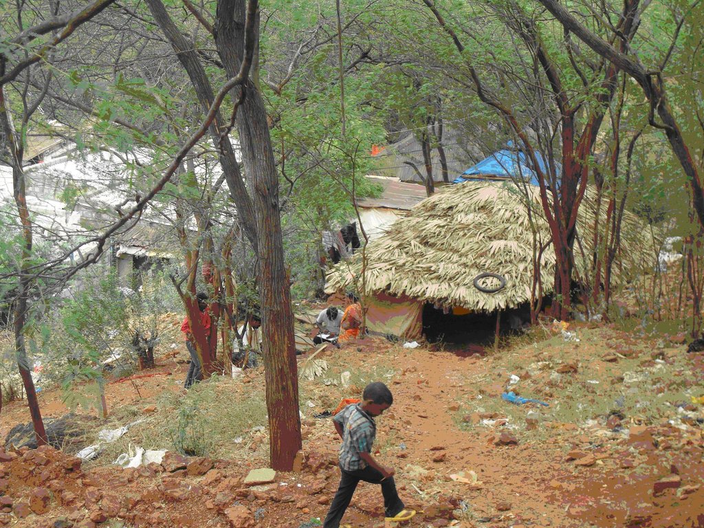 literacy devpt among 40 tribal children in india