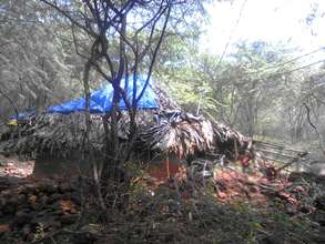 Tribal Thatched House