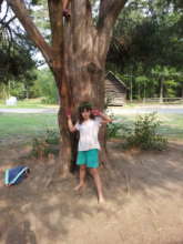 Poke berry dyed and lespedeza crowned Gretchen