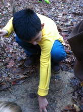 Blas investigating tracks