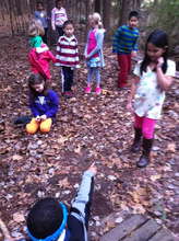 The group fox walking to get a stick undetected