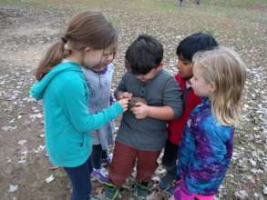 Raul & friends investigating a worm they found!