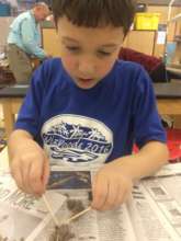 Jeffrey dissecting an owl pellet