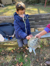Meeting Terra,  the  diamondback terrapin