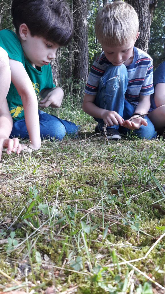 Help 75 Students Become Earth Keepers