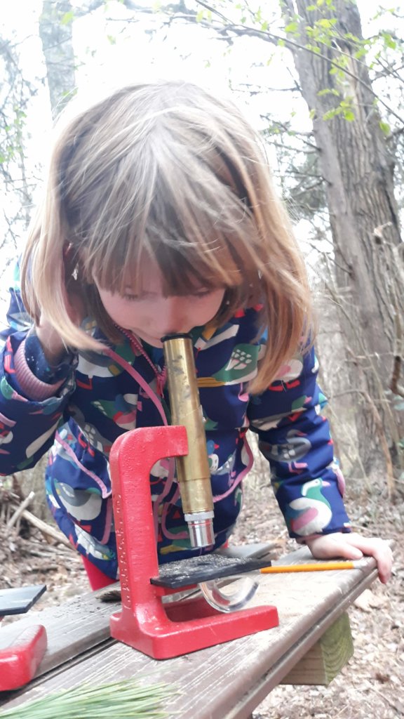 Help 75 Students Become Earth Keepers