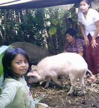Family with pig