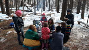 Fun in the snow with pine needle tea!