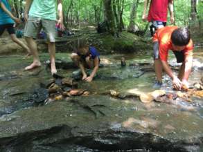 Sebastian and 6 lined lizard drawing