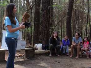 Learning about red shouldered hawks